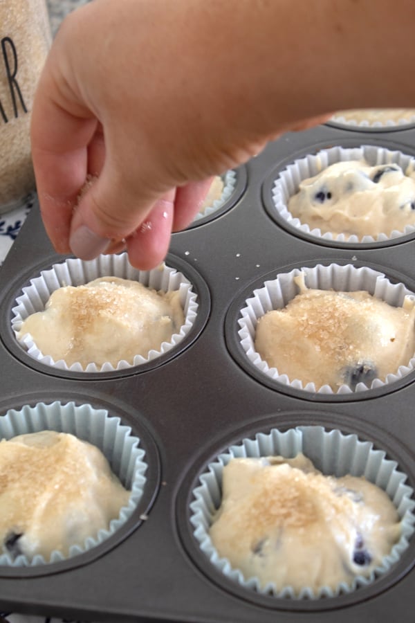 toppings muffins with raw sugar