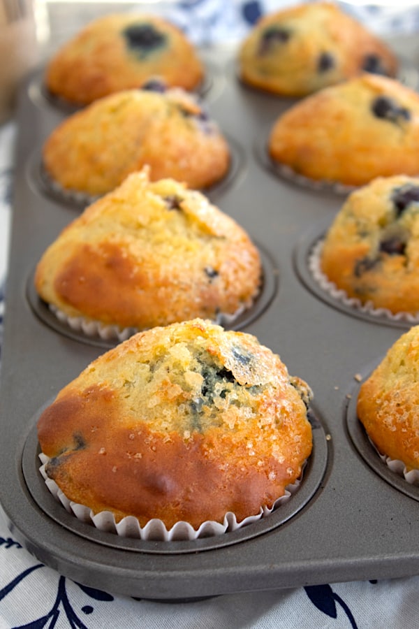 blueberry muffins in muffin tin