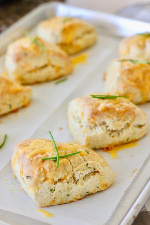 Cheddar and Chive Savory Scones