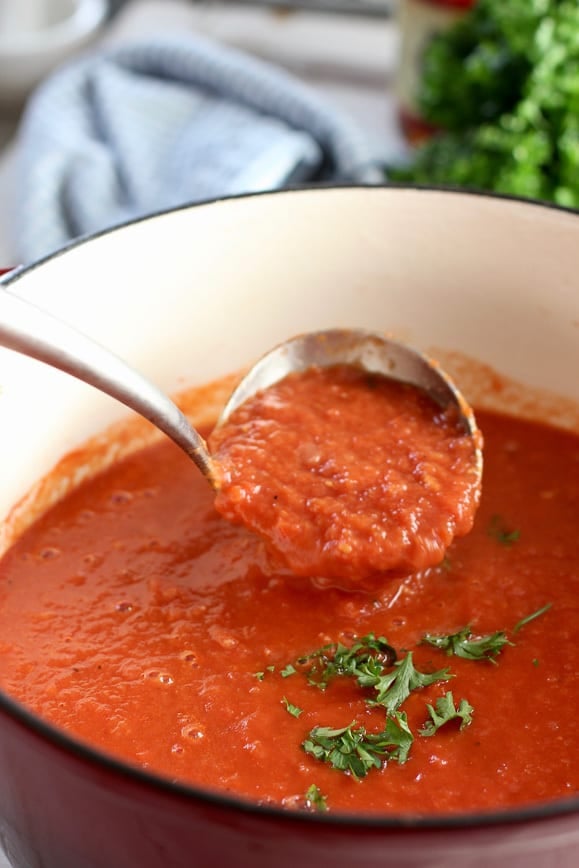 Big pot of tomato soup with ladle