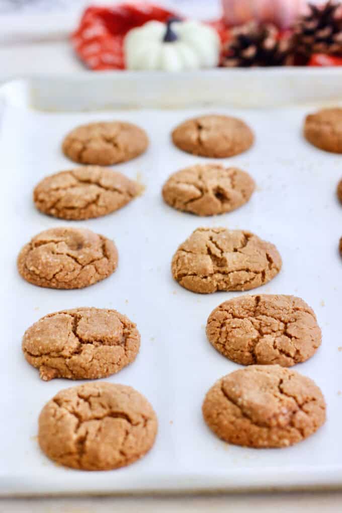 fresh soft ginger cookies on a baking sheet