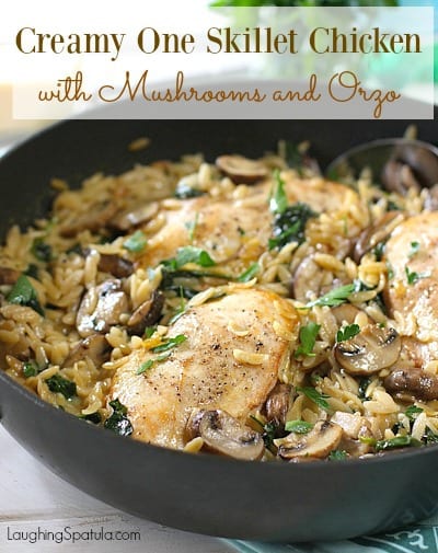 Chicken, Mushroom Orzo5a