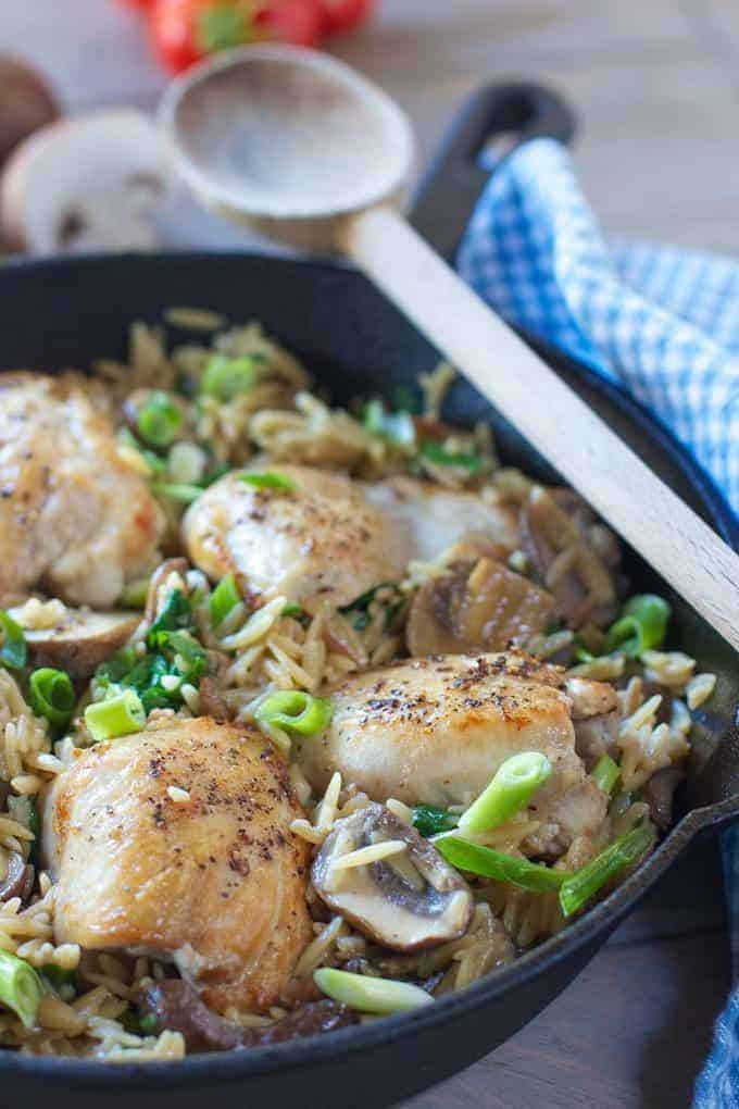 Creamy One Skillet Chicken with Mushrooms and Orzo | Laughing Spatula