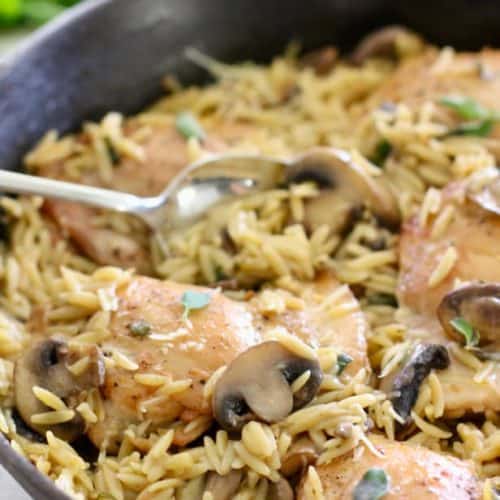 Creamy One Skillet Chicken with Mushrooms and Orzo - Laughing Spatula