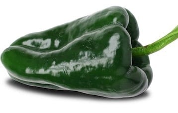 Poblano Pepper