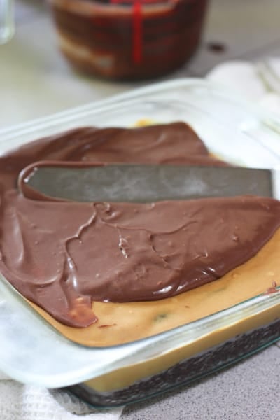 Chocolate Peanut Butter Cake frosting