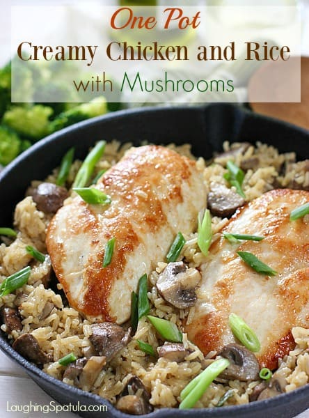 Chicken and Rice Skillet 5