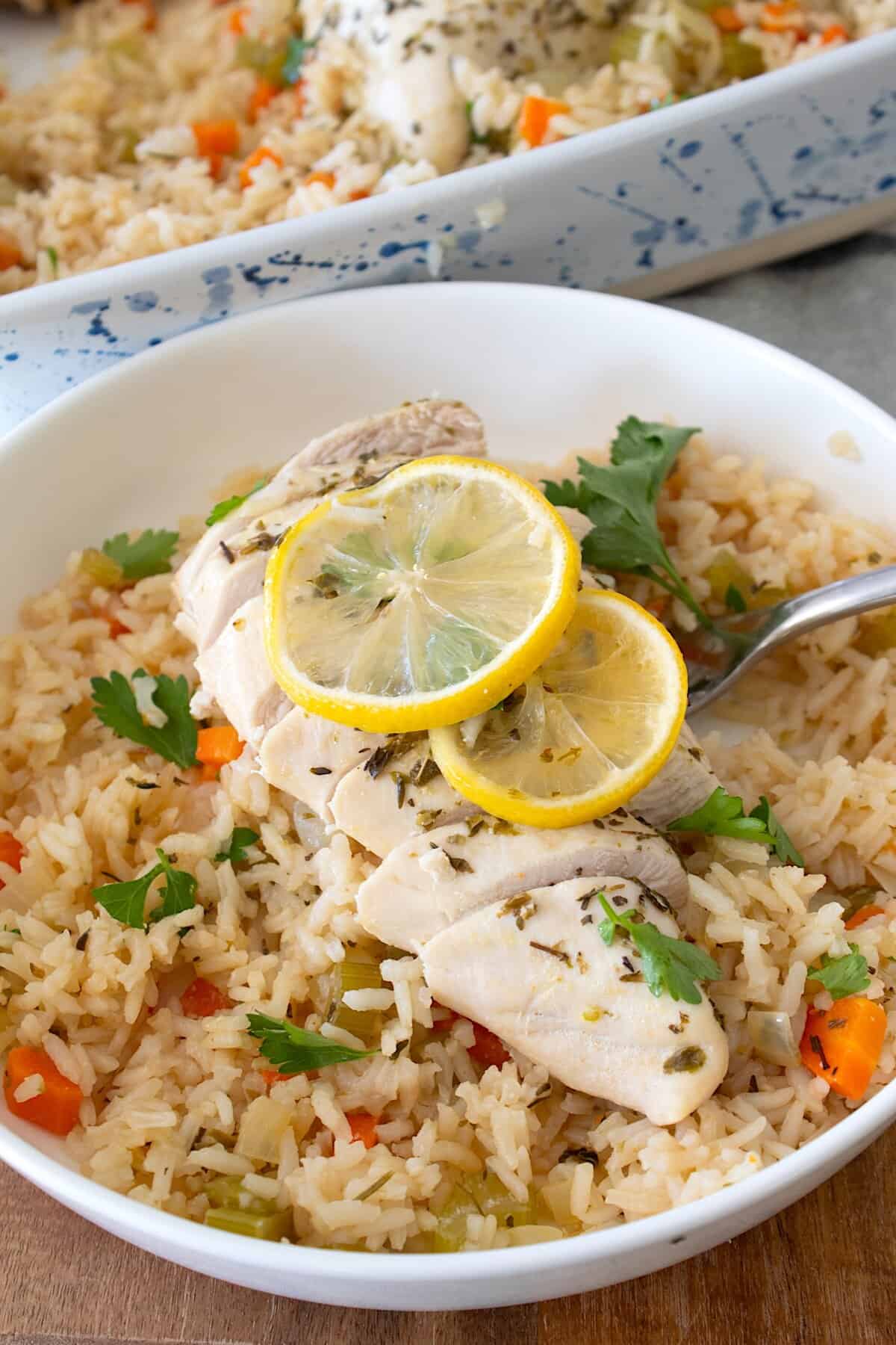 chicken and rice on a plate