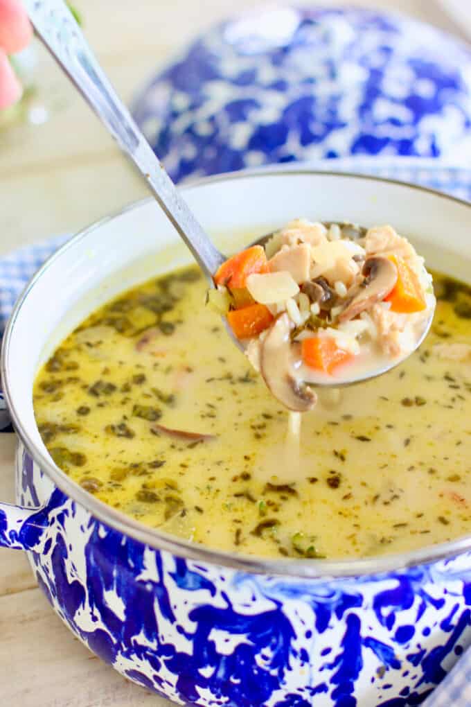pot of chicken and wild rice soup