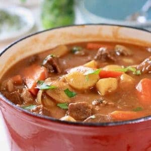 Beautiful wholesome stew ready to serve!