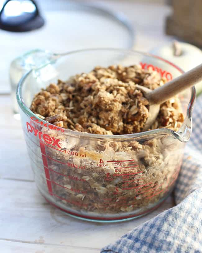 oats, pecans, sugar and cinnamon mixed together to form the topping