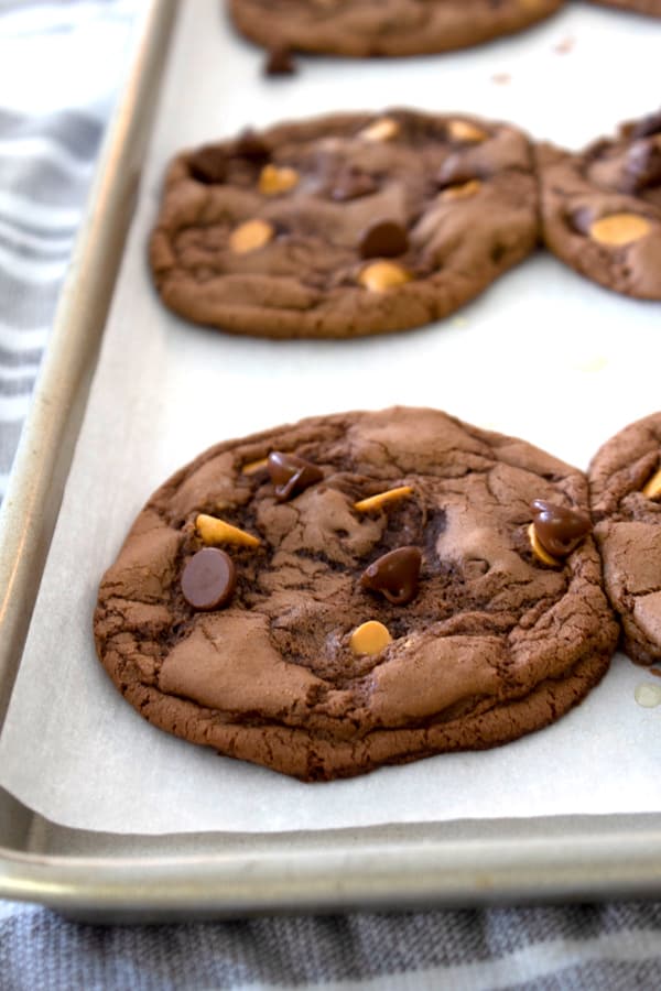 tray of brownie cookies