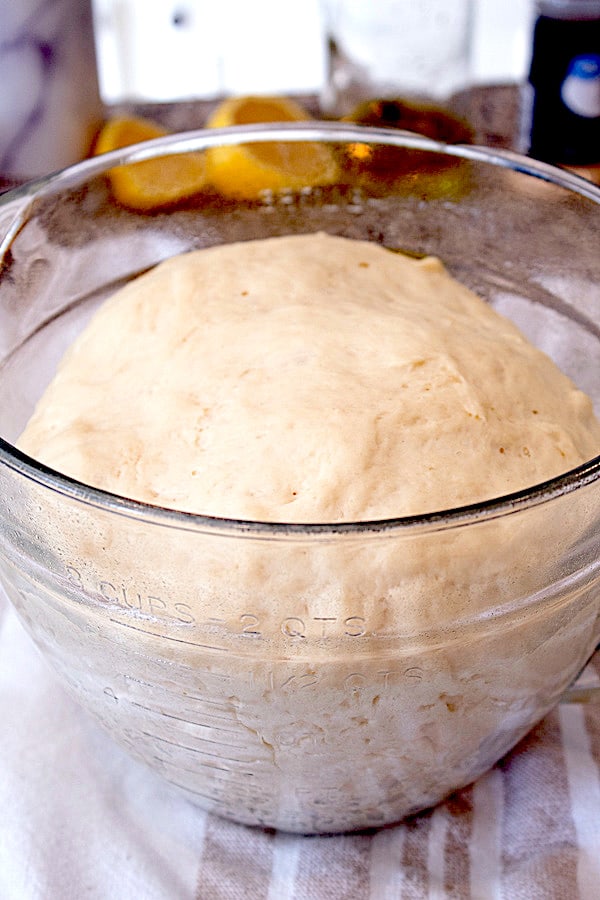 naan bread dough risen in bowl
