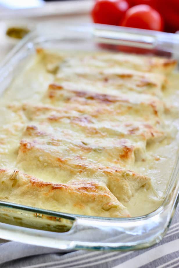 white chicken enchiladas right out of the oven and ready to serve