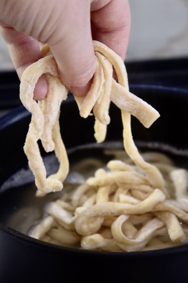 How to Make Egg Noodles - Laughing Spatula