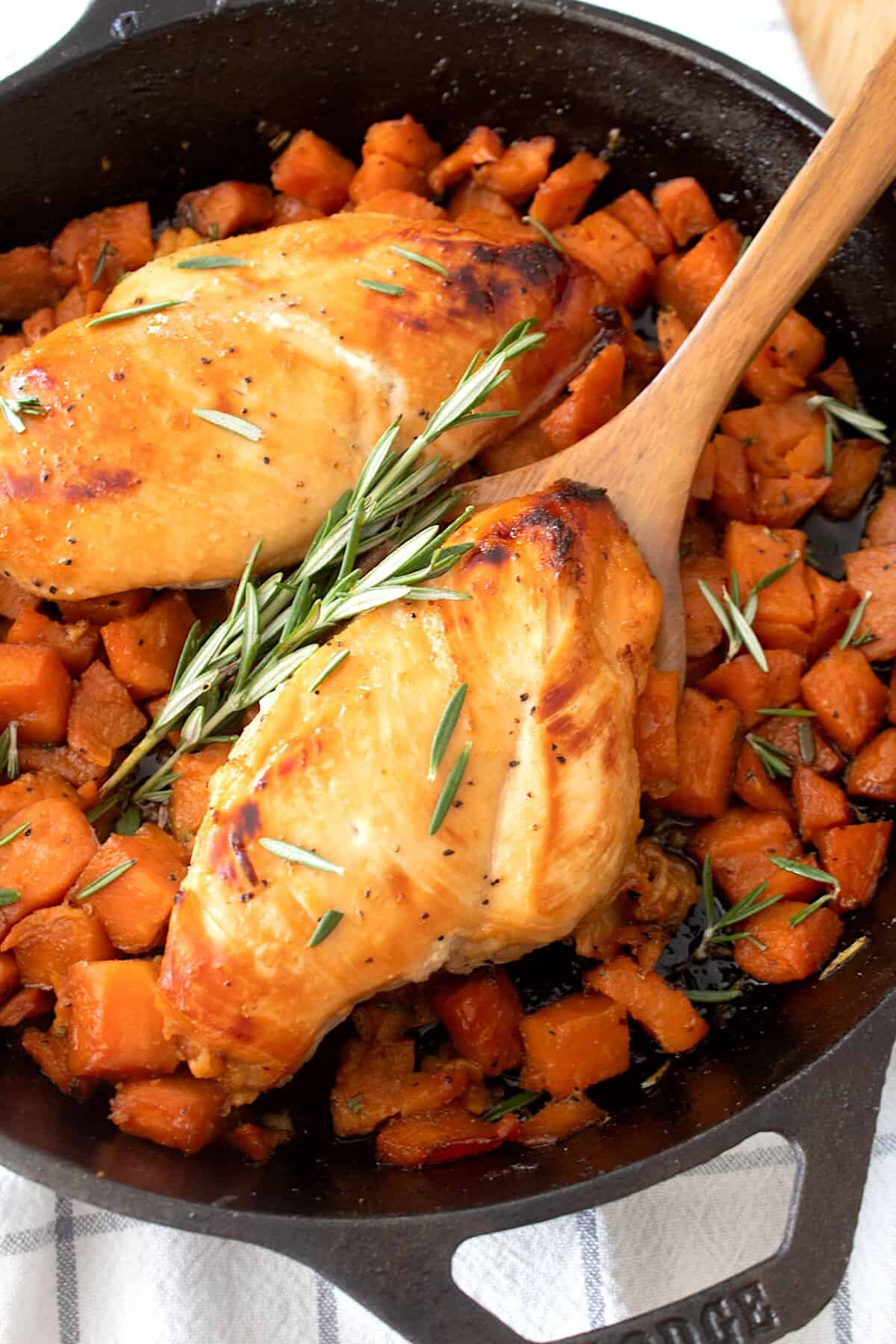 overhead view of chicken and sweet potatoes