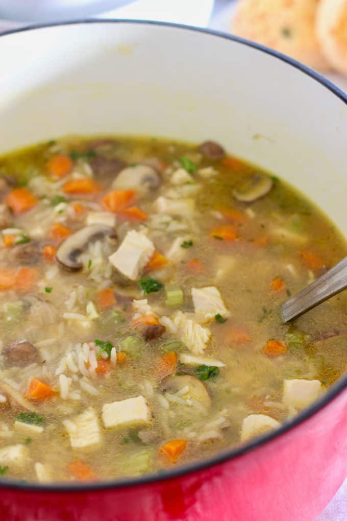 Chicken and Mushroom soup in large red pot