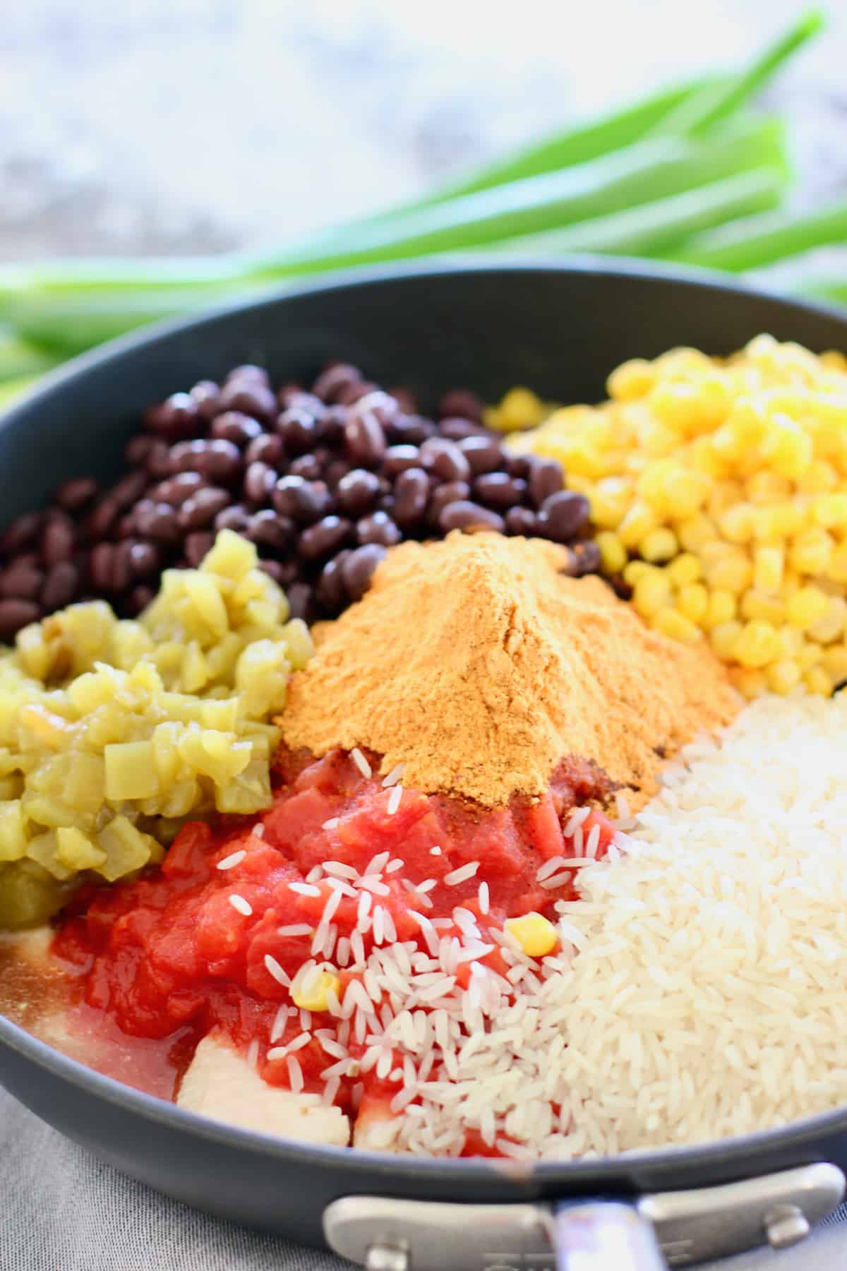 Mexican Chicken and Rice Laughing Spatula
