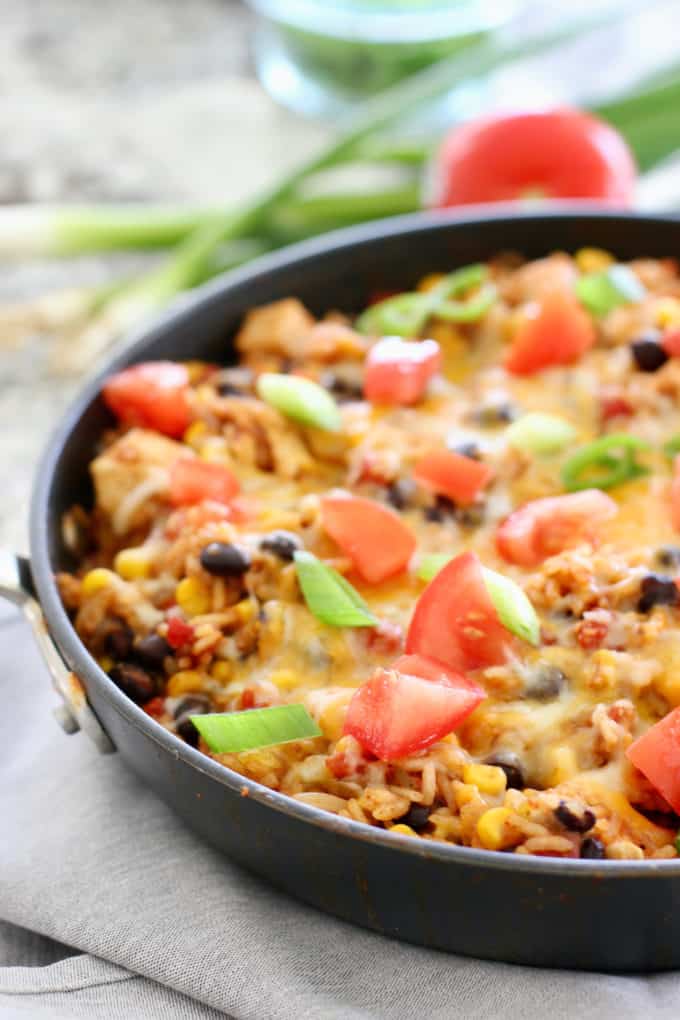 Mexican Chicken and Rice - Laughing Spatula