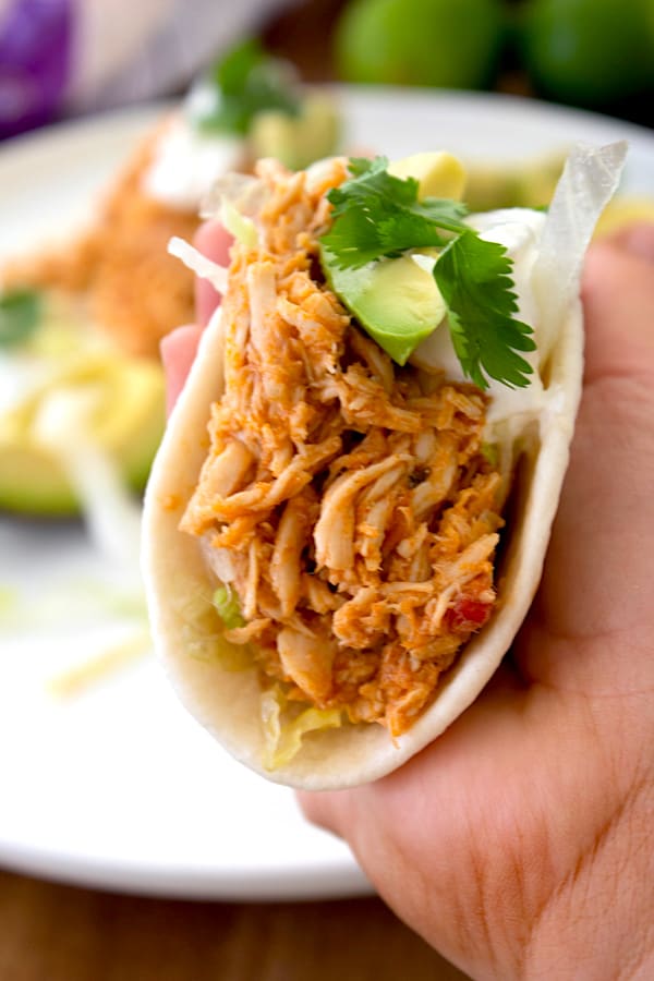 holding a slow cooker chicken taco in a flour tortilla