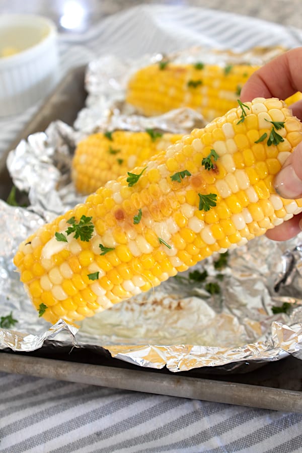a hand holding a corn cob 