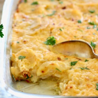 Cheesy Scalloped Potatoes in a 9 x 13 baking dish