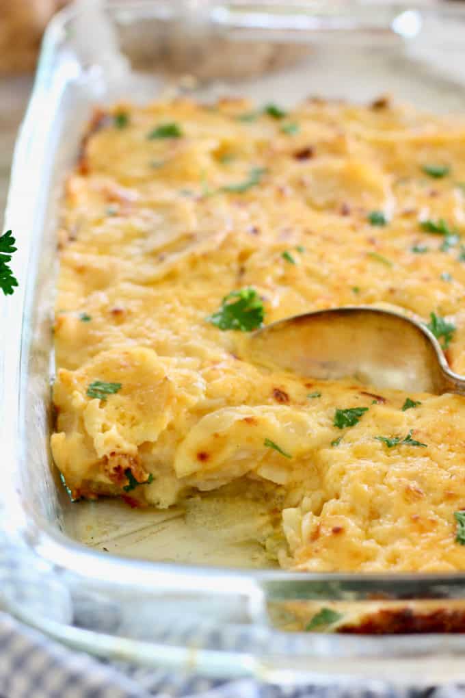 Cheesy Scalloped Potatoes in a 9 x 13 baking dish