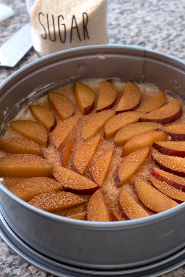 plums arranged in springform cake batter pan