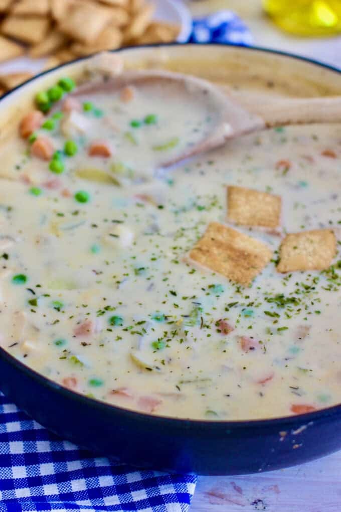 a blue pot of chicken soup