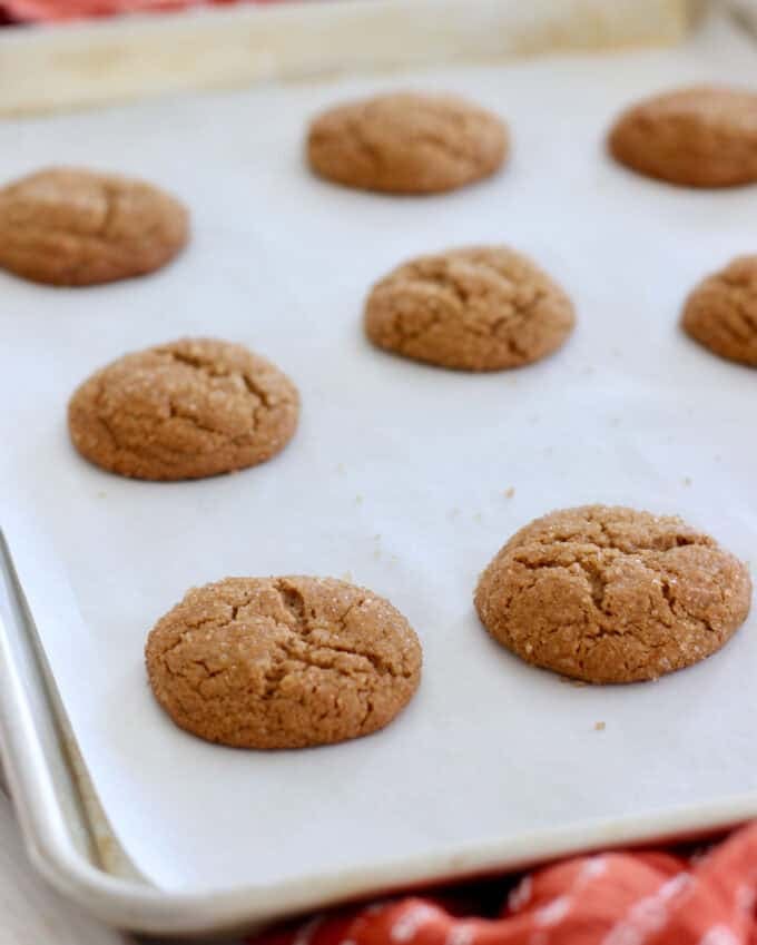 baked ginger molasses cookies cooling on a baking pan