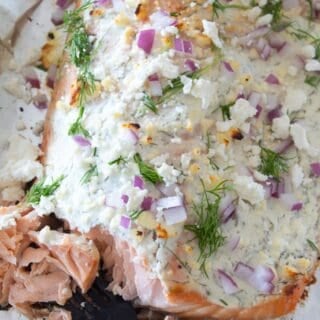 overhead view of greek yogurt salmon