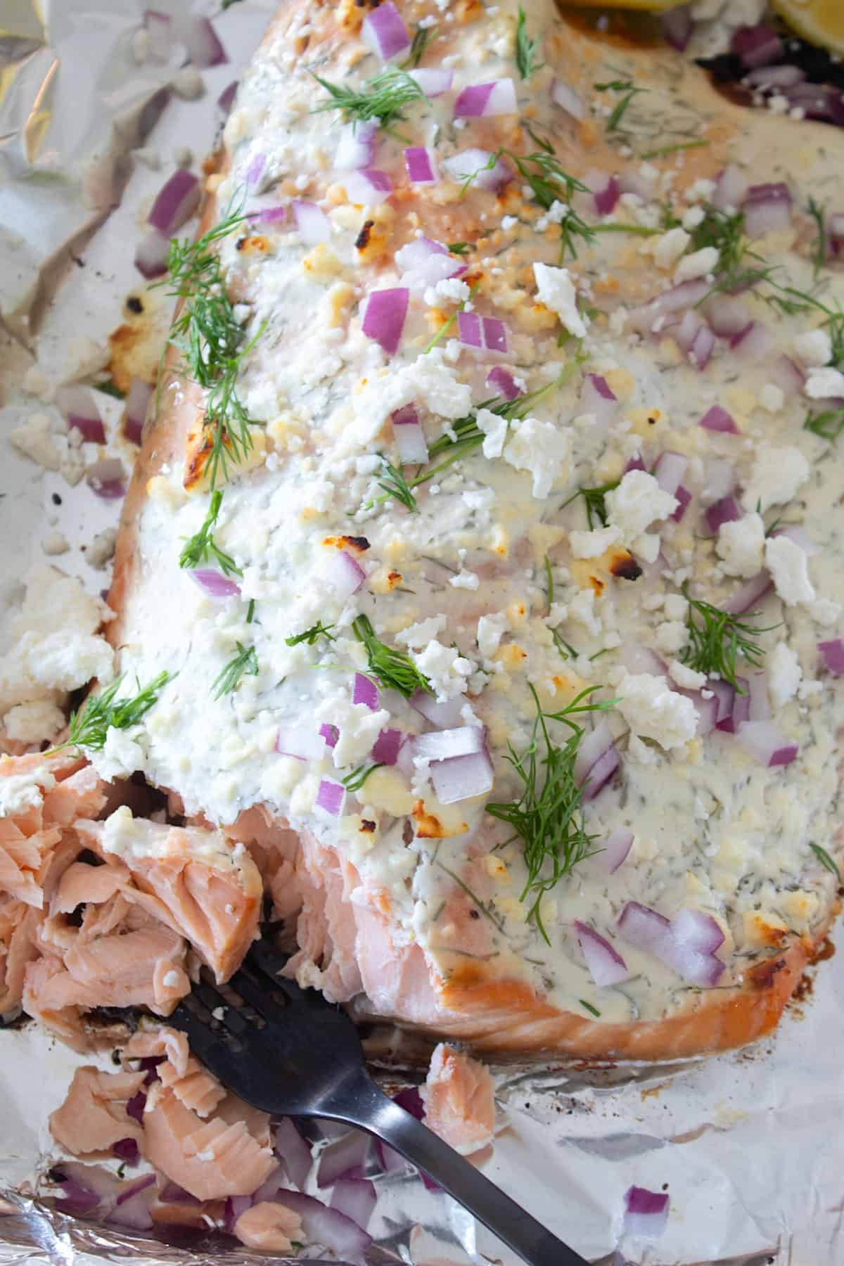 overhead view of greek yogurt salmon