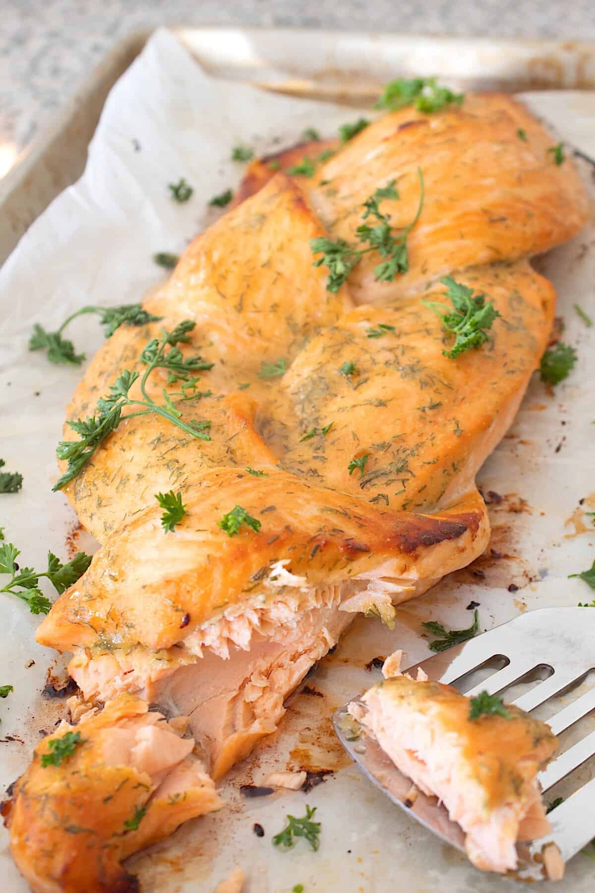up close shot of braided salmon