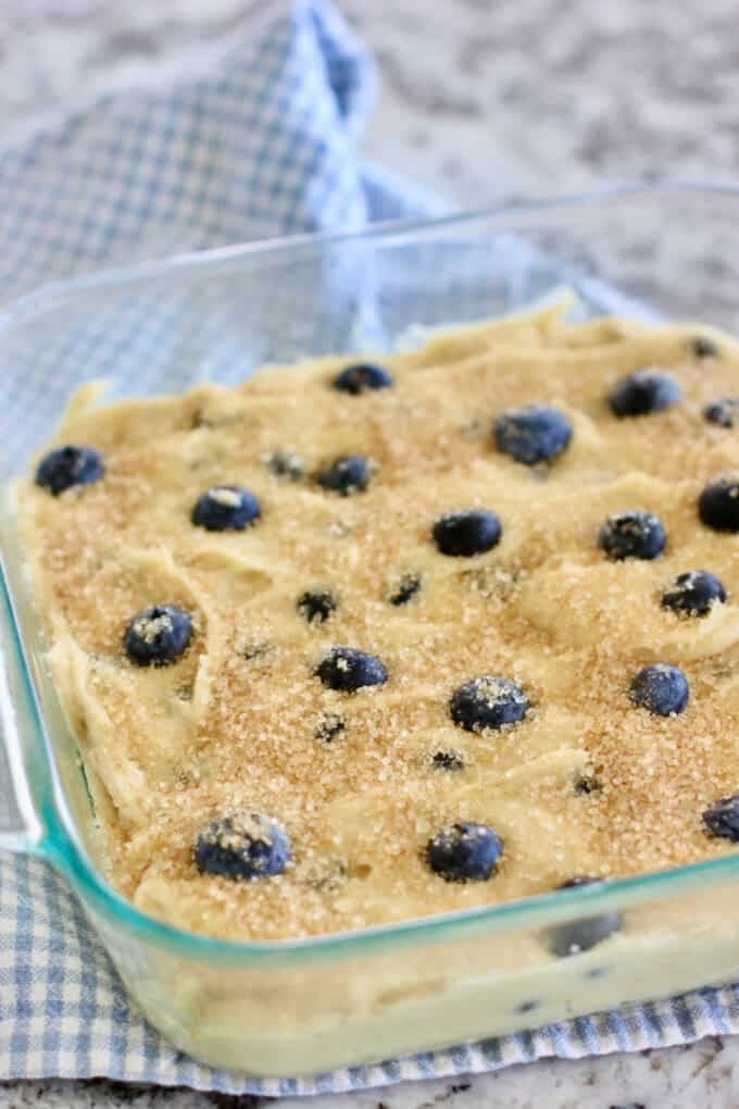 blueberry cake ready to bake
